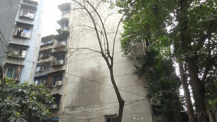 文家东巷17号外景图