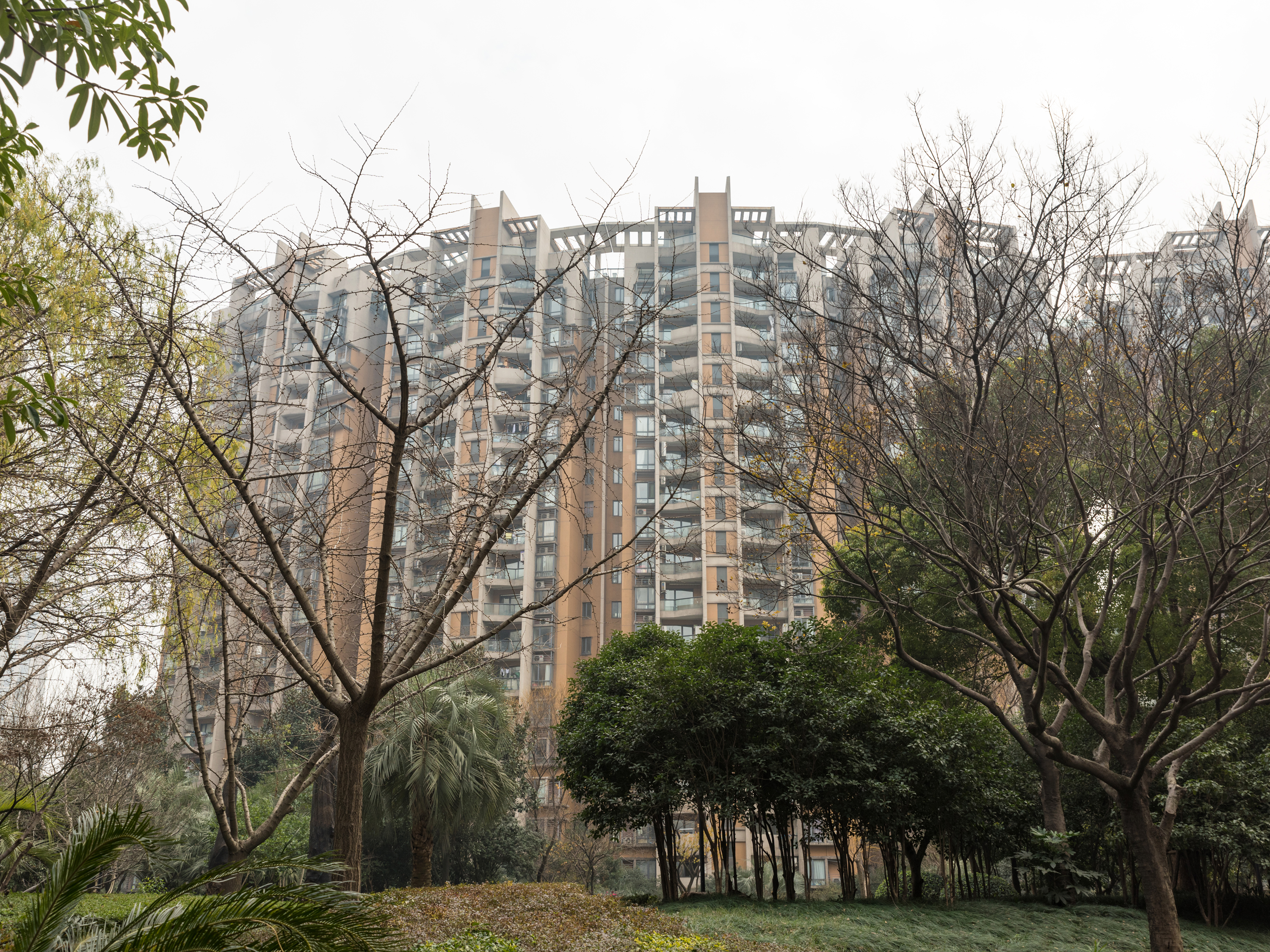金色家园小区实景 13