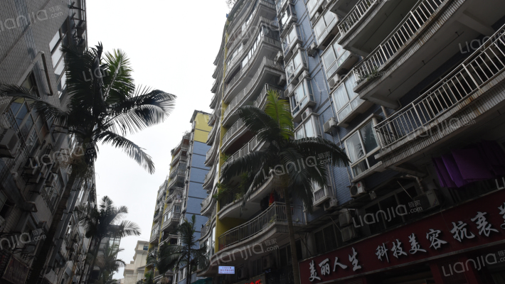 远洋航港外景图