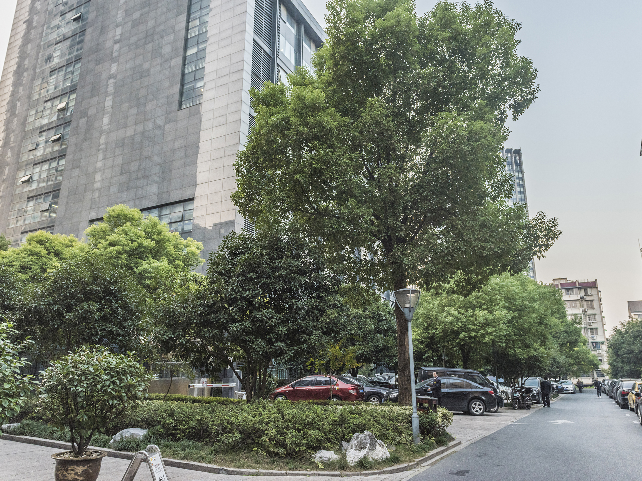 宝善公寓小区实景 15