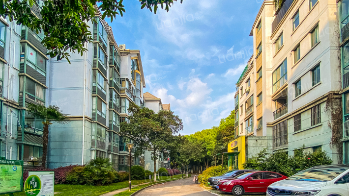 新洲花园外景图