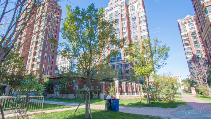 金隅满堂外景图