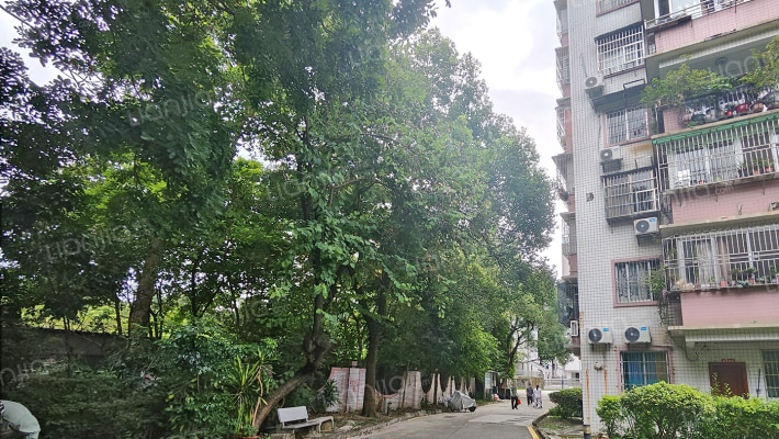 龙洞东路128号外景图