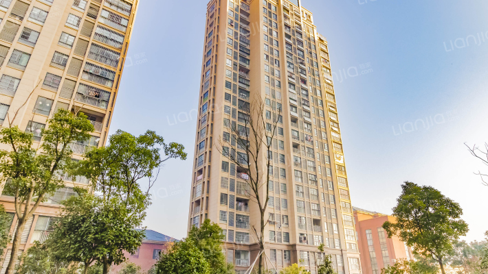 斌锋观邸外景图