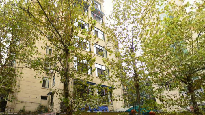 牛市口路56号外景图