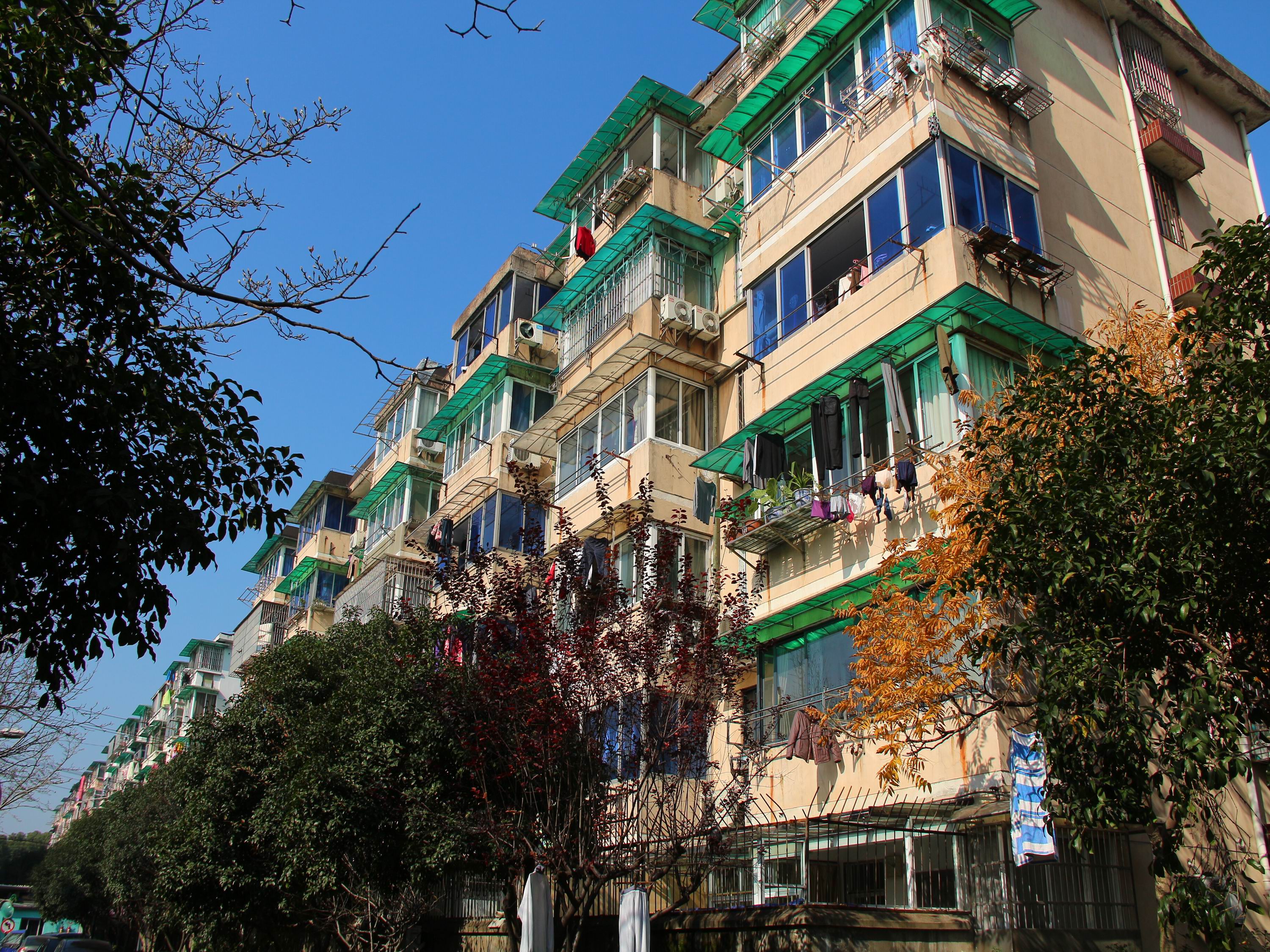 古荡新村东区小区实景 16