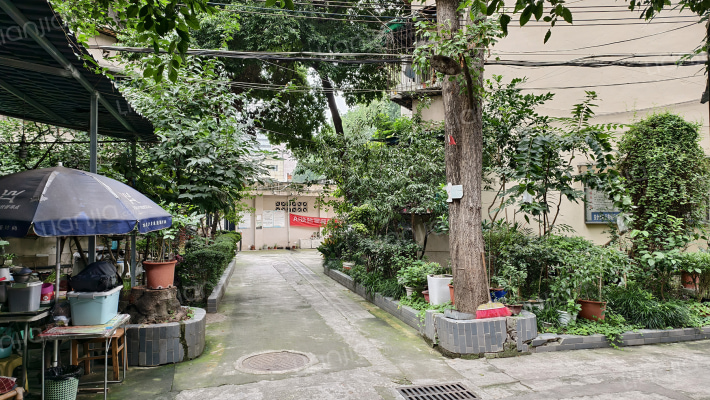 董家湾北街19号外景图