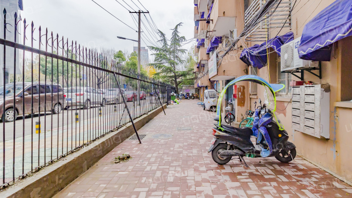 杏花街25号外景图