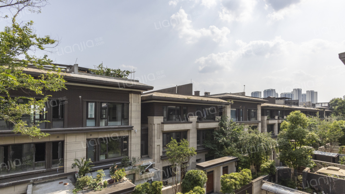 万科君望府B区外景图