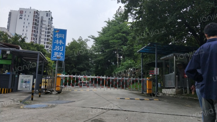 桐林别墅外景图