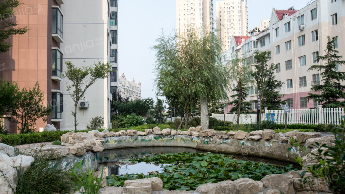 德惠凤凰都外景图