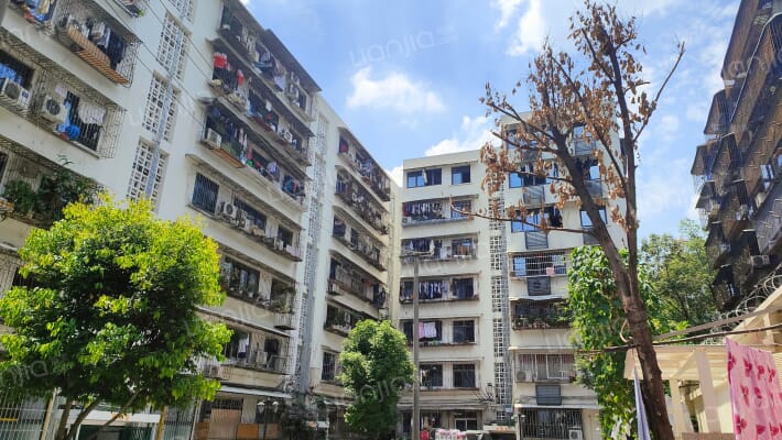 华油路51号外景图