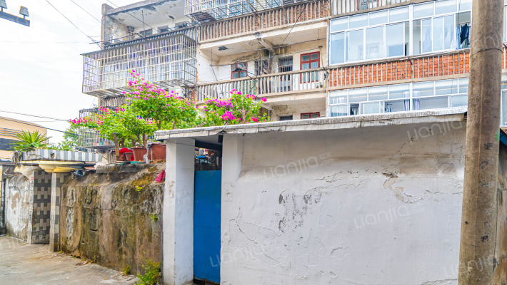 大新路212号外景图