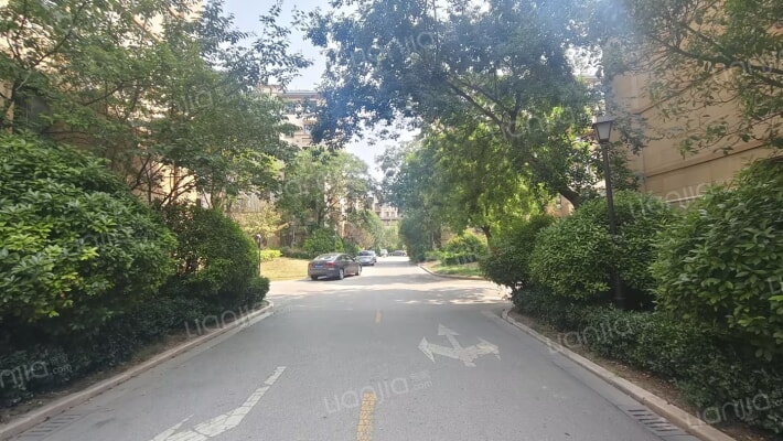 梦想望城外景图