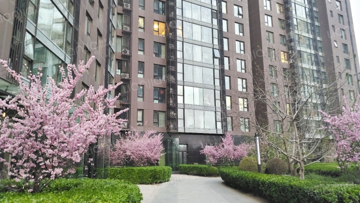 强佑清河新城府学上院外景图