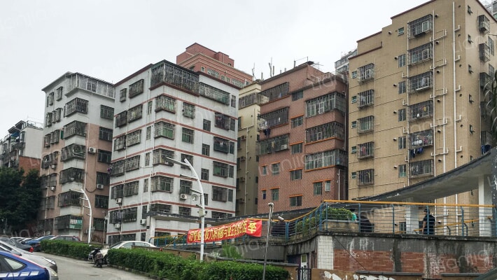 泰阳金桔苑外景图