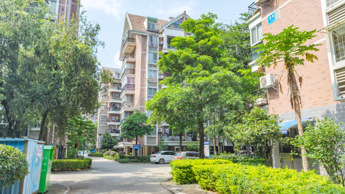 金山桔园嘉园外景图