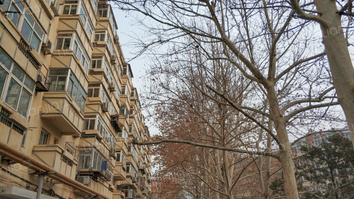 东花园大楼外景图