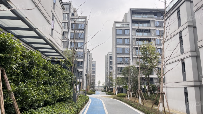 禹州博学家一期外景图