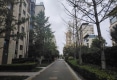 安泰德园户型图实景图