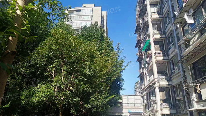 苕溪人家外景图