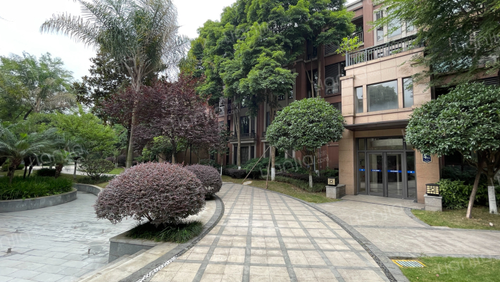 新界四期外景图