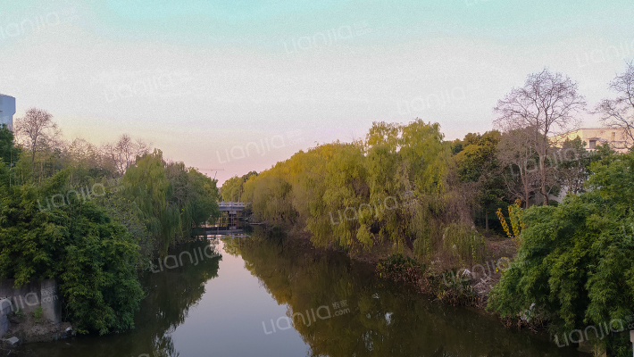 龙东花园外景图