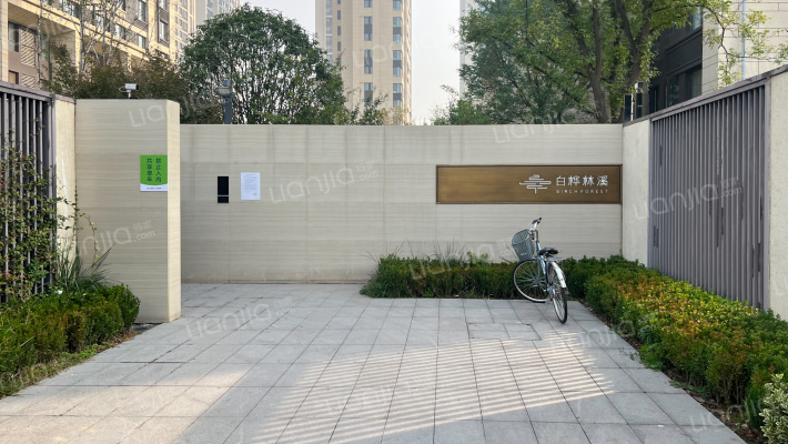 白桦林溪外景图