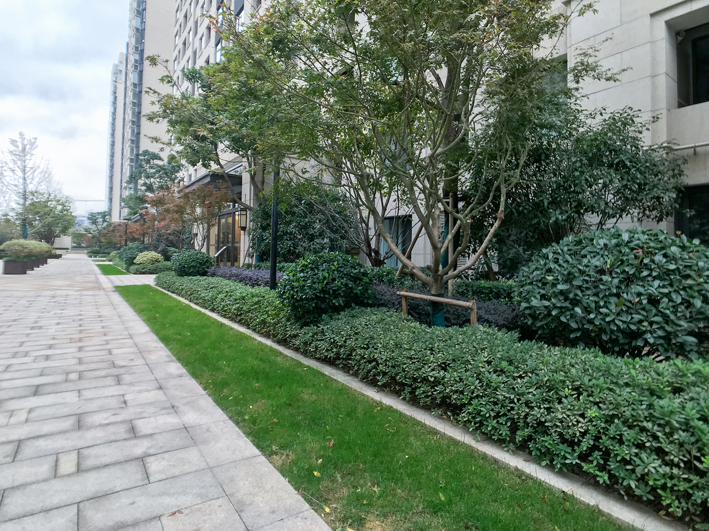 金茂万科新都会小区实景 13