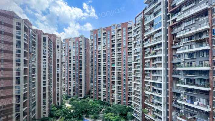 星河丹堤外景图