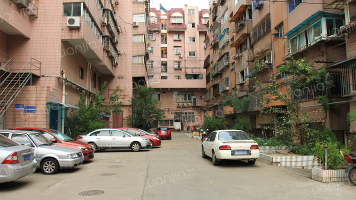 樱花苑(玄武)外景图