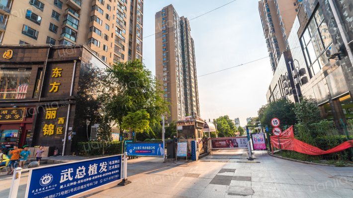 东方丽锦西区外景图