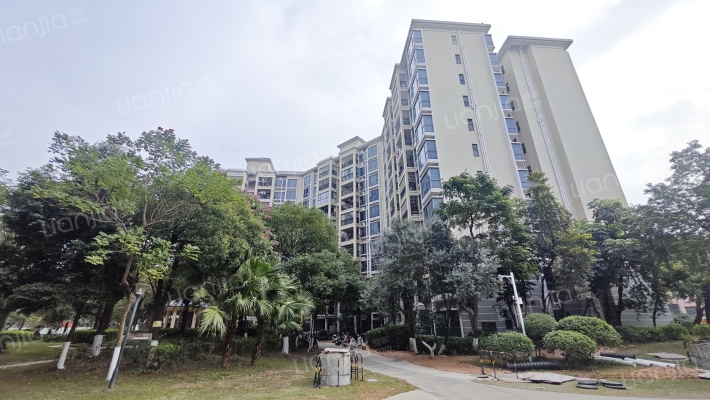 长裕棕榈园外景图