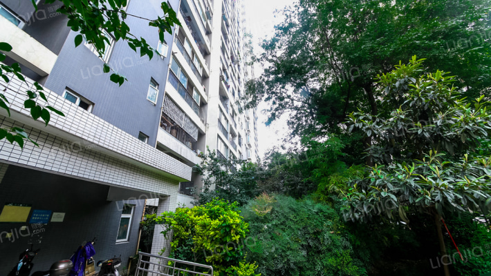 胜利新村外景图