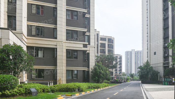 金科集美阳光外景图