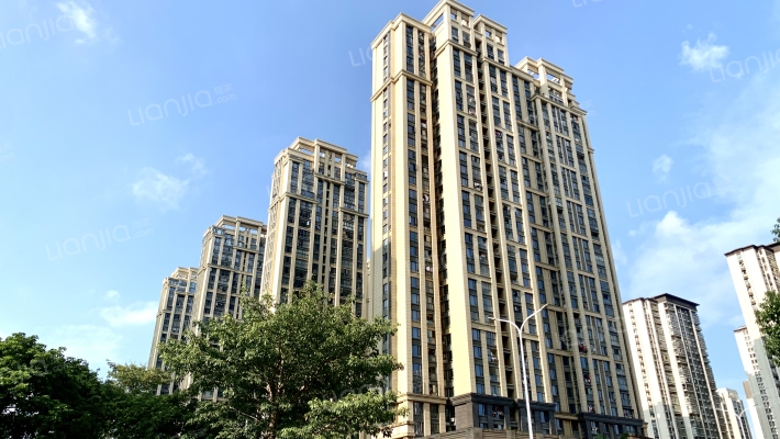 中联天玺外景图