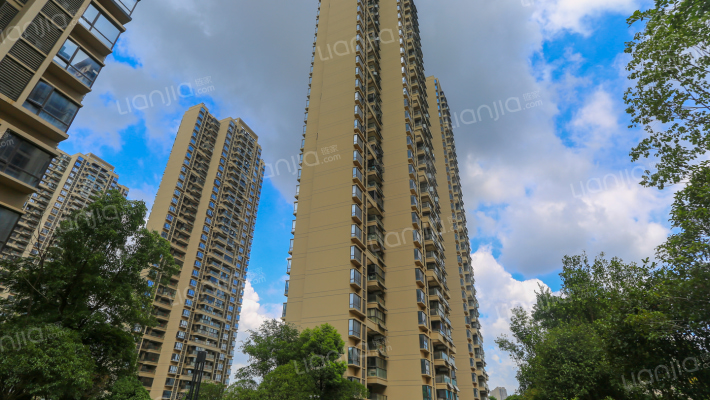 新力禧园外景图