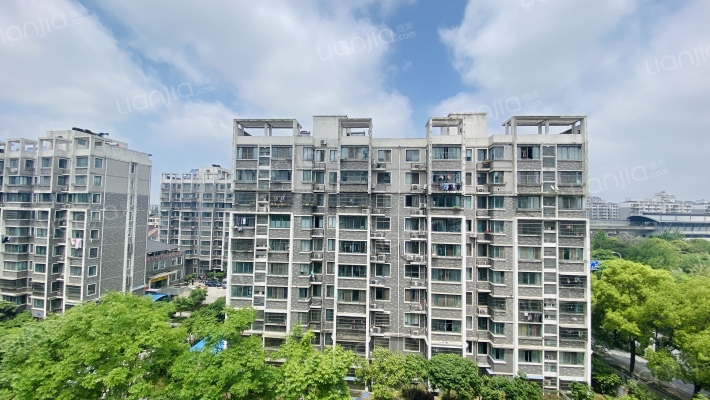 金福南苑外景图