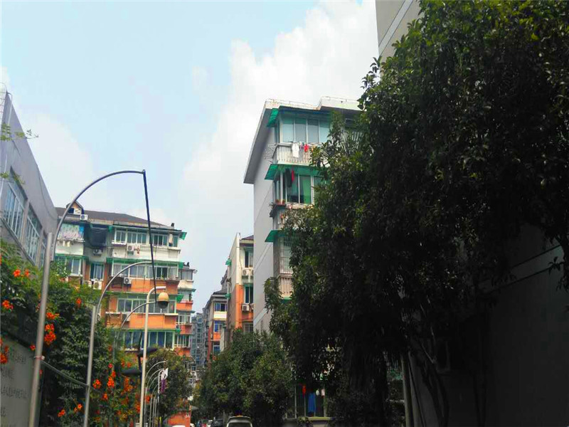 Moganxincun  compound photo 25