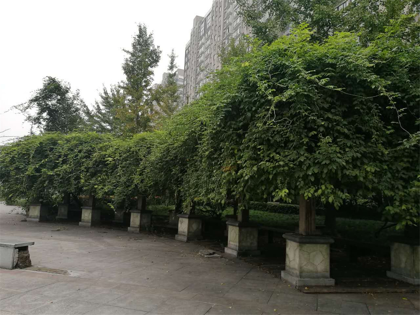 Yingchun Nanyuan compound photo 27