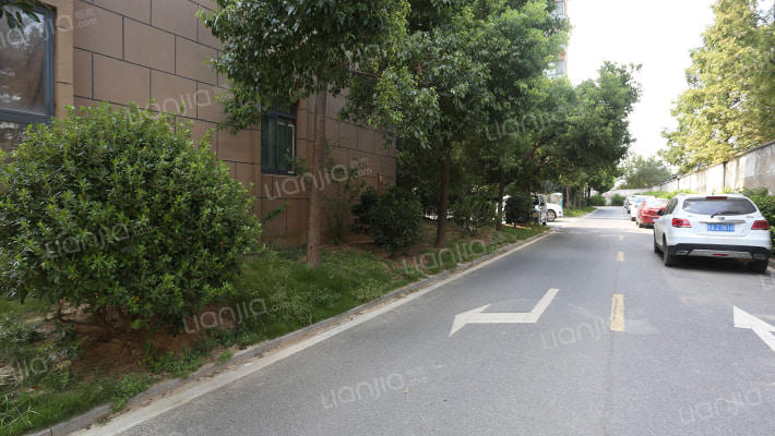 金色里程外景图