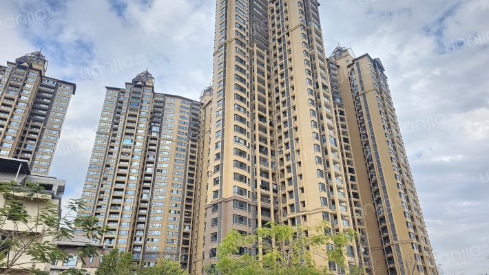 世纪金湖花园外景图