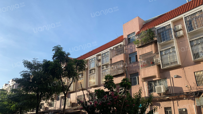 勒流单家黄连社区外景图