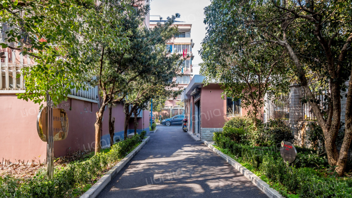 由由五村外景图