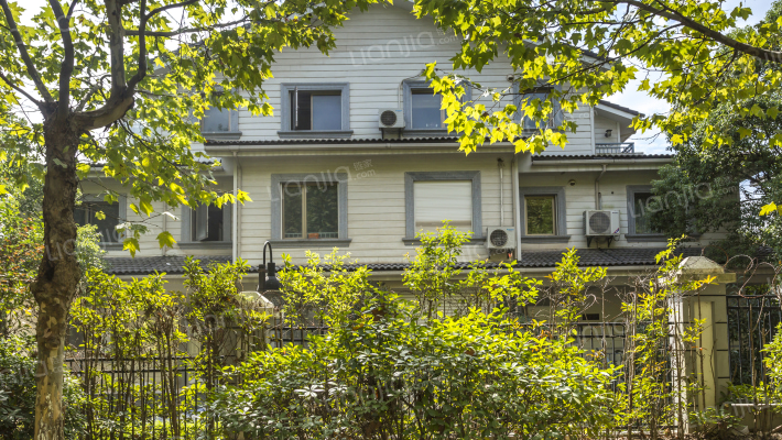 挪威森林外景图