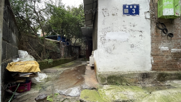 黄金巷3号外景图