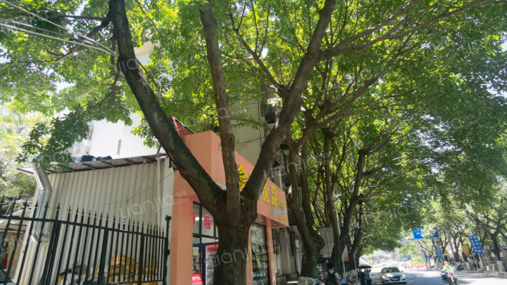 轮山路50号外景图