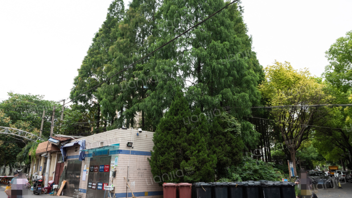 罗秀新村外景图