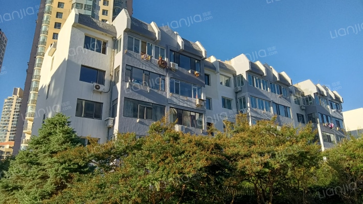 松林里小区外景图