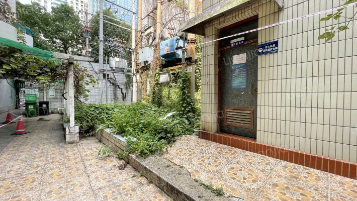 市南路51号外景图